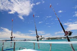 Private Fishing Day Trip - Night Squid Fishing 11-15 pax